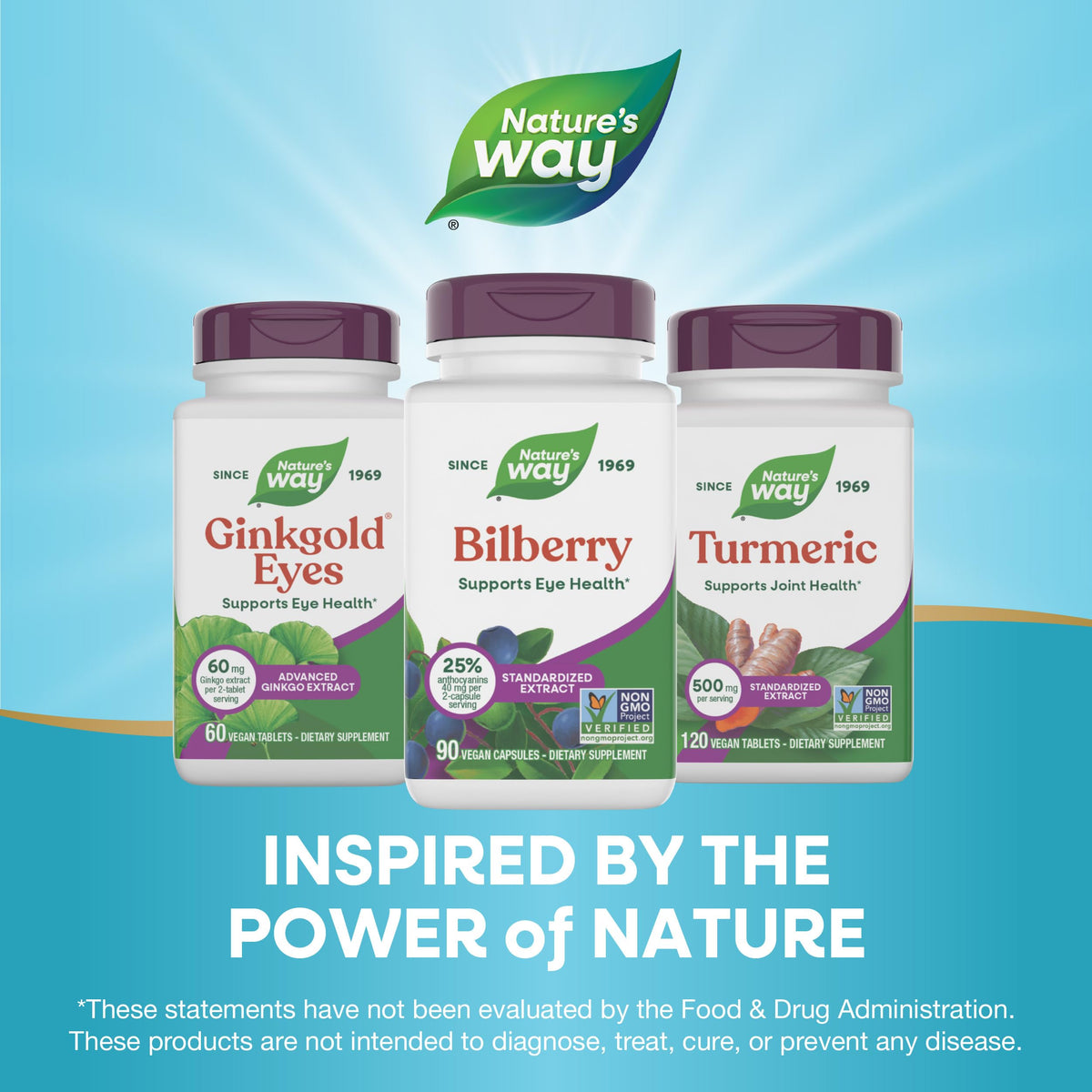 Nature's Way Bilberry Premium Extract - Eye Health Support, 90 Capsules BritishVita | Premium UK Vitamins & Wellness Supplements