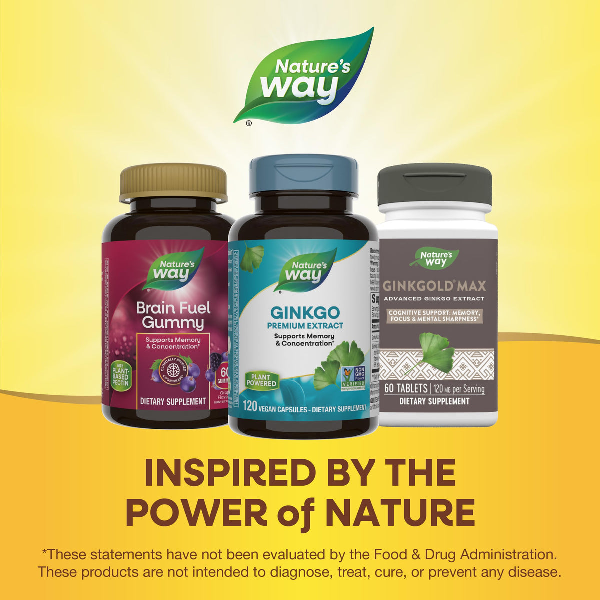 Nature's Way Ginkgo Premium Extract – Memory & Concentration, 120 Capsules BritishVita | Premium UK Vitamins & Wellness Supplements