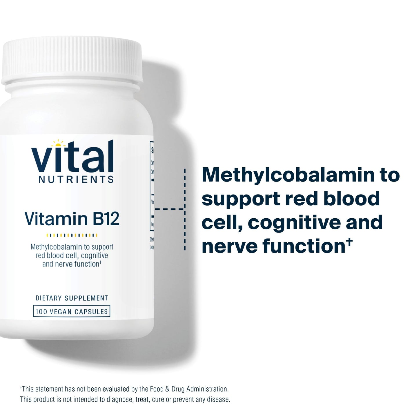 Vital Nutrients B12 1000mcg – Vegan Methylcobalamin | High-Potency B12