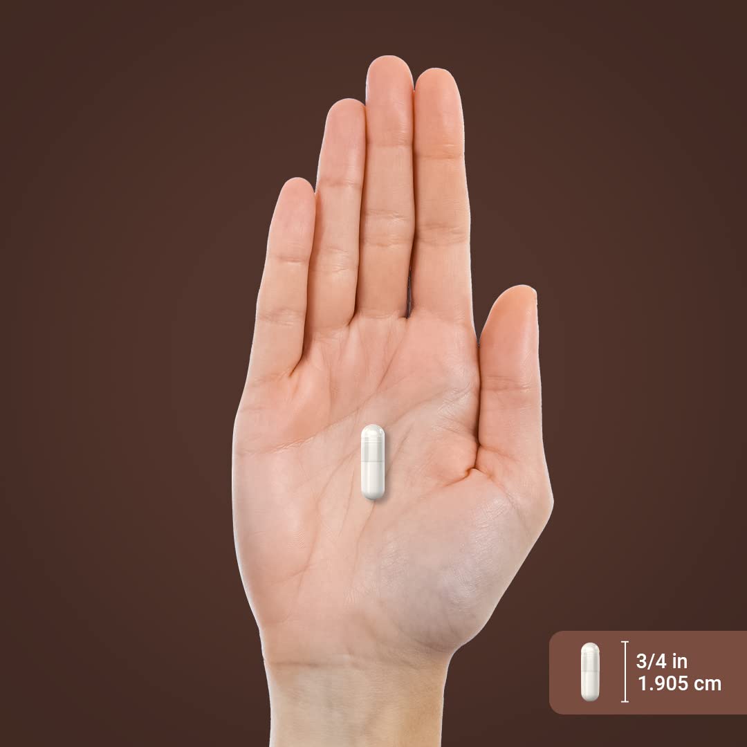 Piping Rock Devils Claw 2000mg | 200 Capsules | Herbal Supplement | Concentrated Extract | Non-GMO, Gluten Free