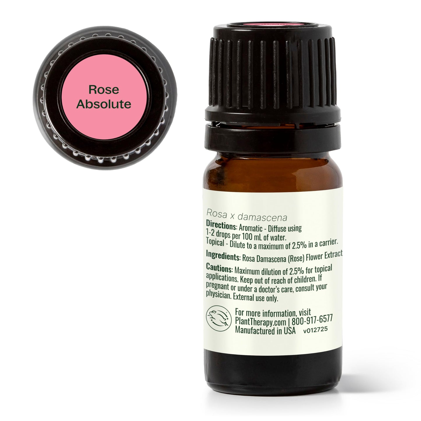 Rose Absolute Essential Oil 5 mL – Plant Therapy | 100% Pure
