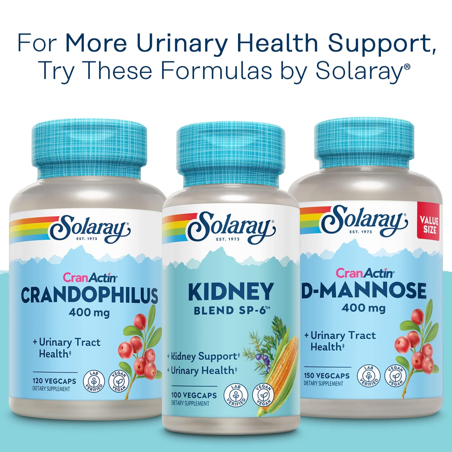 SOLARAY CranActin Cranberry Extract 400 mg | Urinary Tract Health, 120 VegCaps