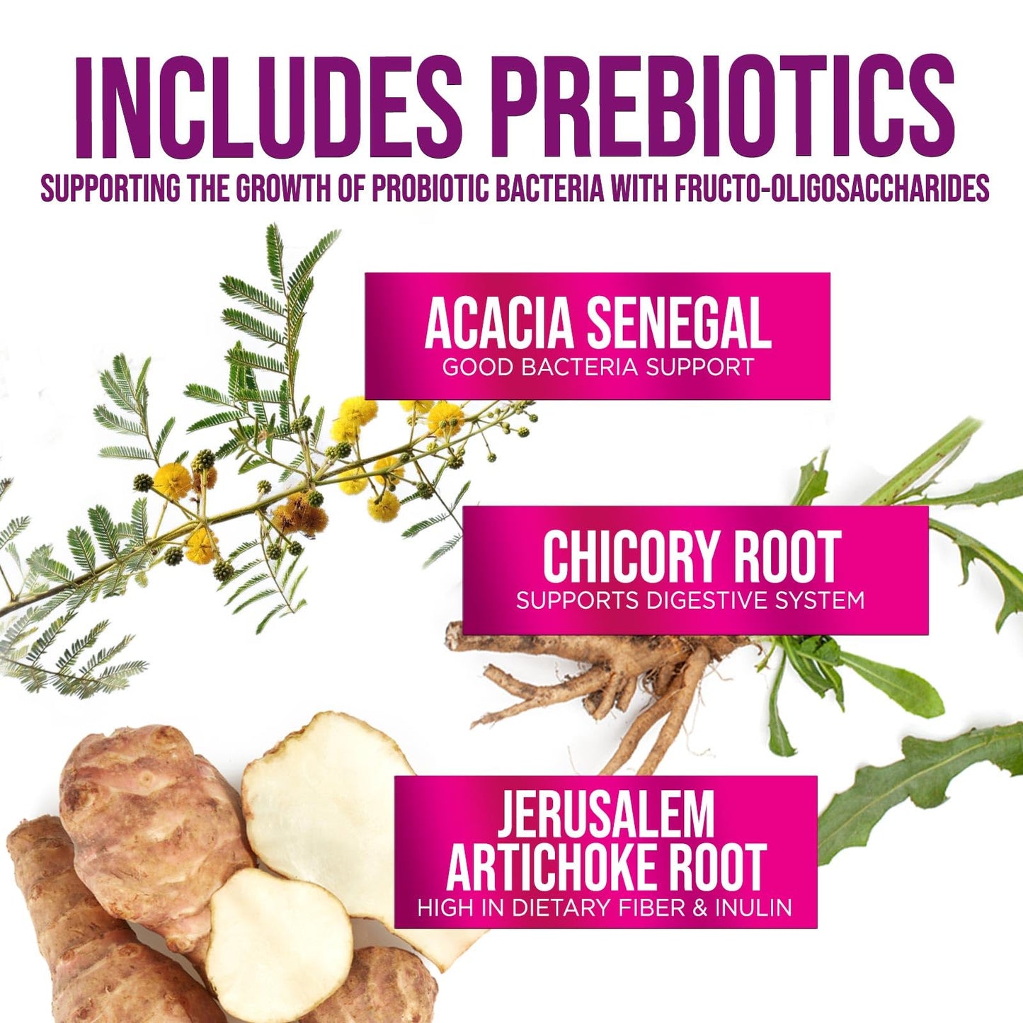 Probiotics 60 Billion CFU | 10 Strains + Prebiotics | Digestive, Gut & Immune Support | 60 Capsules