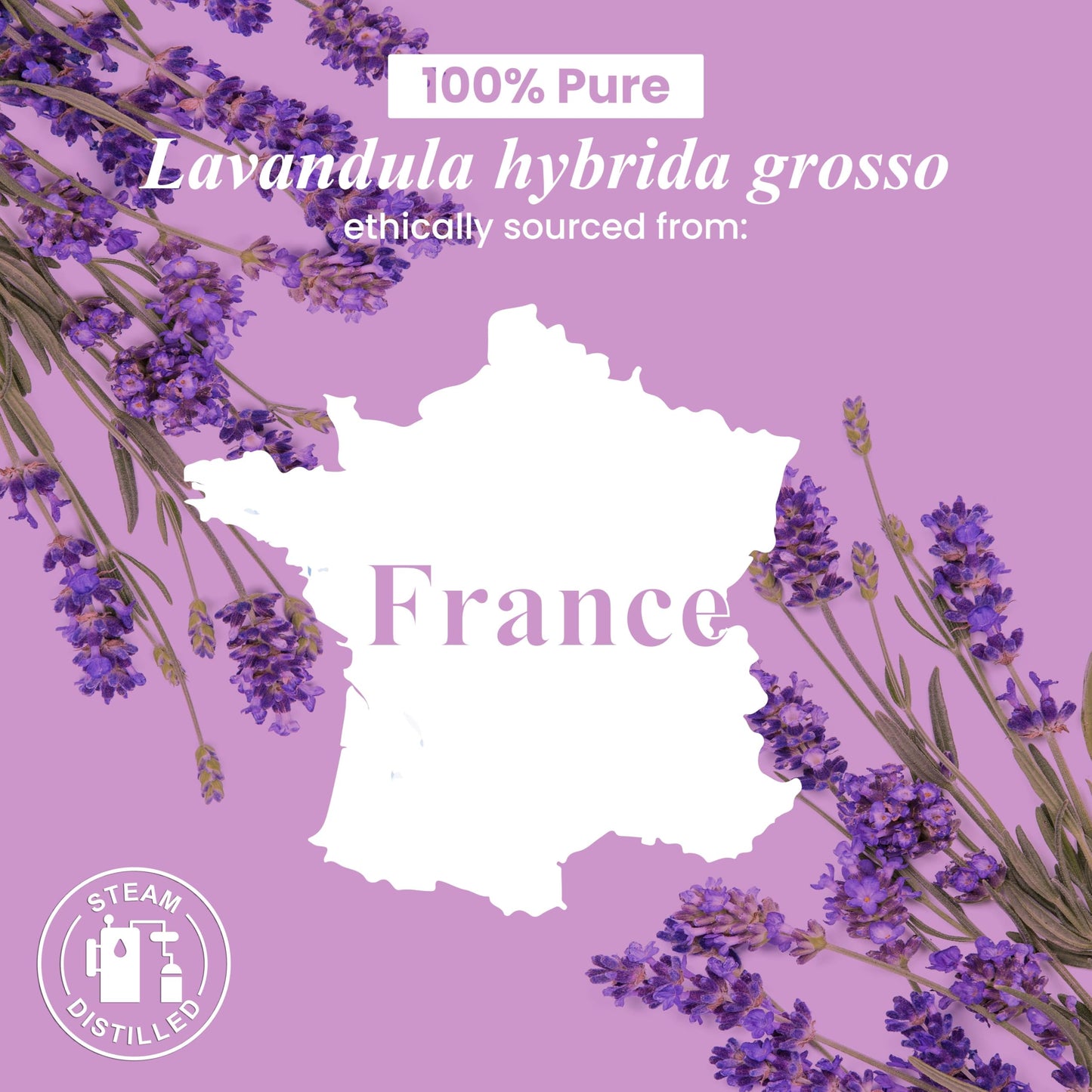 Handcraft Blends Lavender Essential Oil – 4 Fl Oz – 100% Pure & Natural, Premium Grade