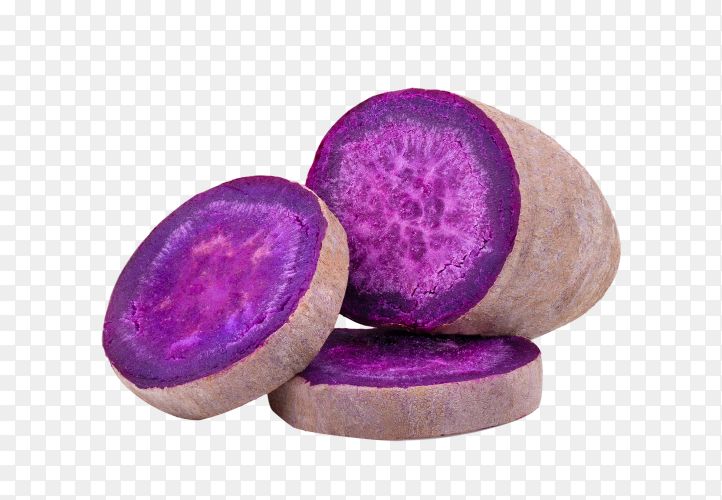 Siocolat Ube Protein Trio - Premium Sugar-Free Vegan Bundle with Southeast Asian Soul