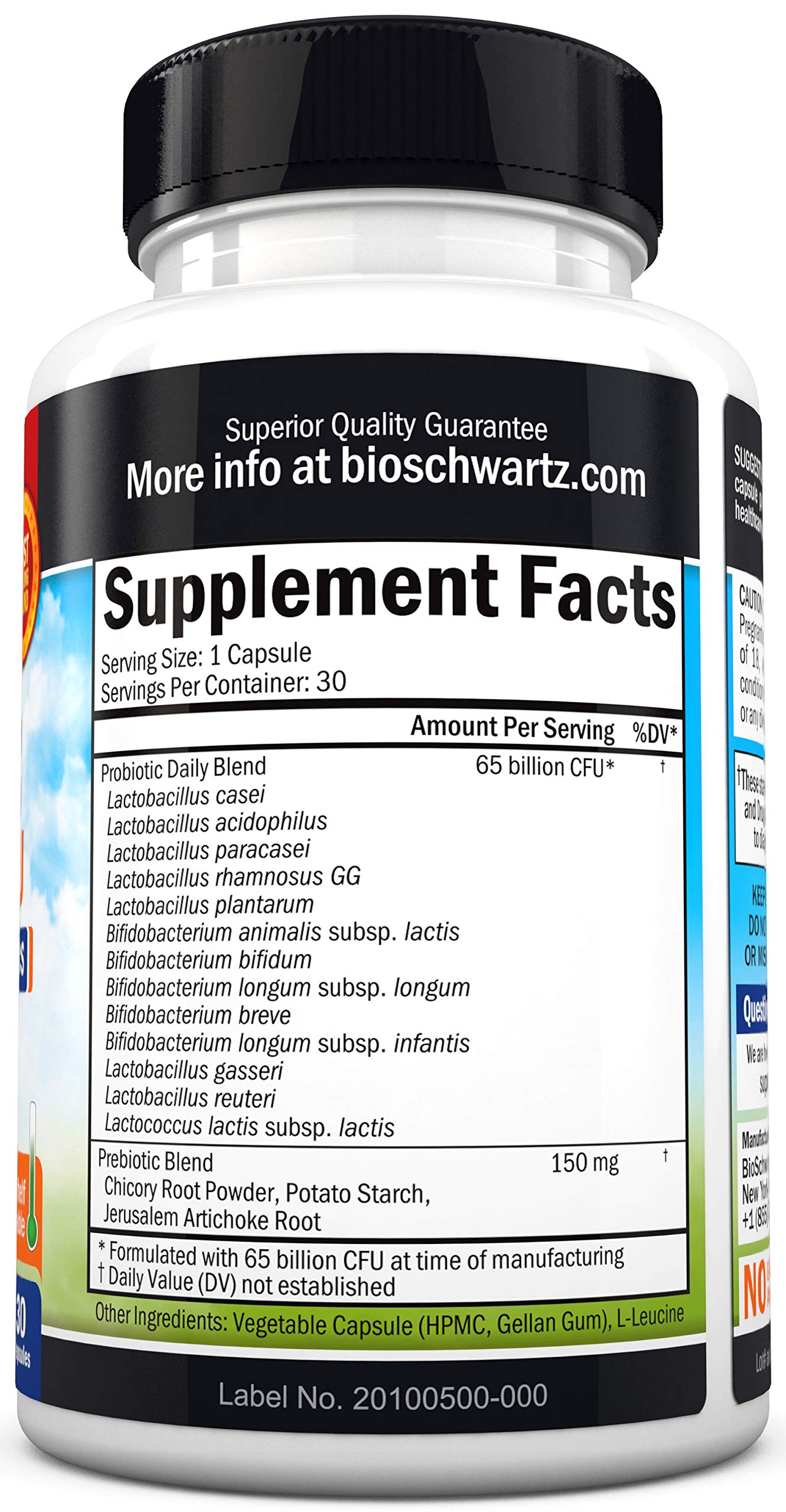Probiotic 65 Billion with Prebiotic – Digestive Health Capsules (30ct) | Lactobacillus Acidophilus
