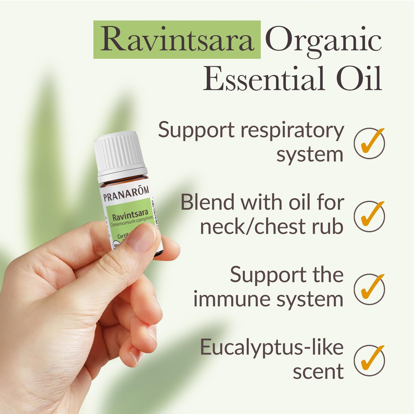 Pranarom Ravintsara CT 1,8-Cineole Essential Oil – Organic, 100% Pure