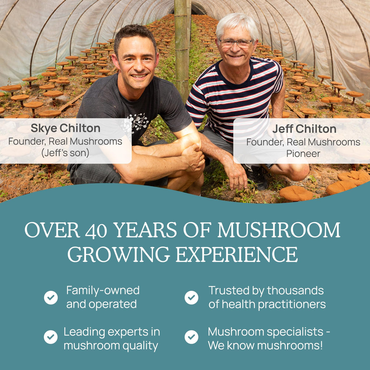 Real Mushrooms Vitamin D2 from Shiitake & Agaricus – 1000 IU, Vegan, Organic BritishVita | Premium UK Vitamins & Wellness Supplements