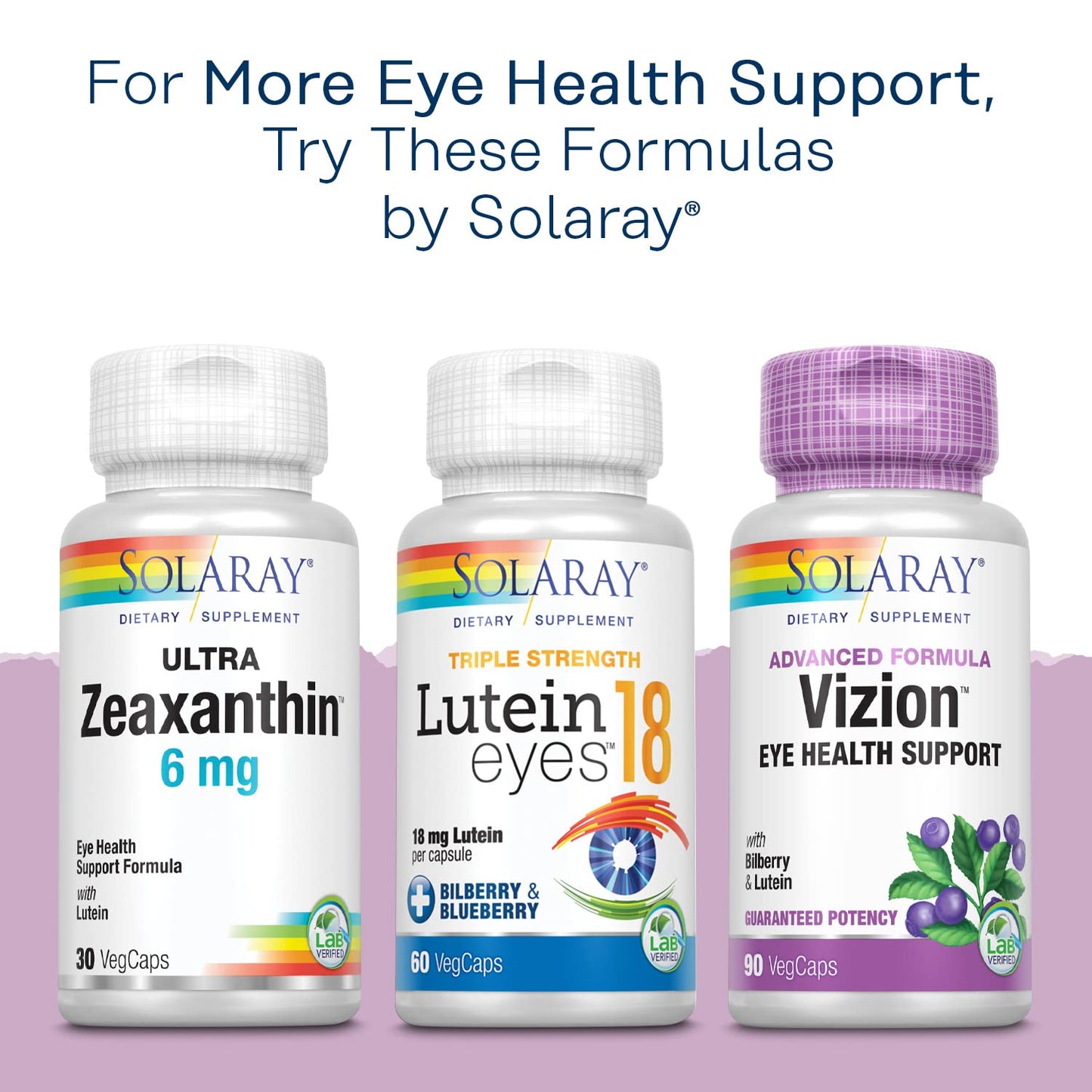 SOLARAY Bilberry Extract 160 mg – Eye Health & Circulation Support | 36% Anthocyanosides | Vegan