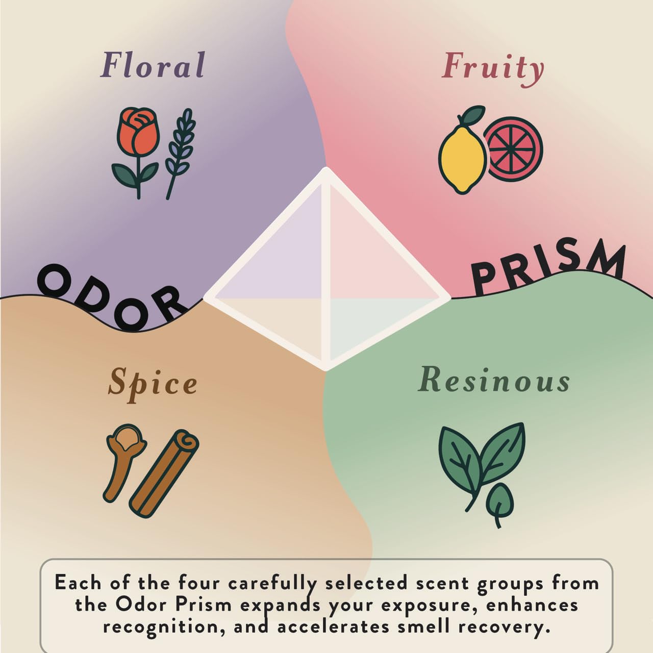 Smell Training Kit - Restore Sense of Smell & Taste | 8 Scents | Made in USA