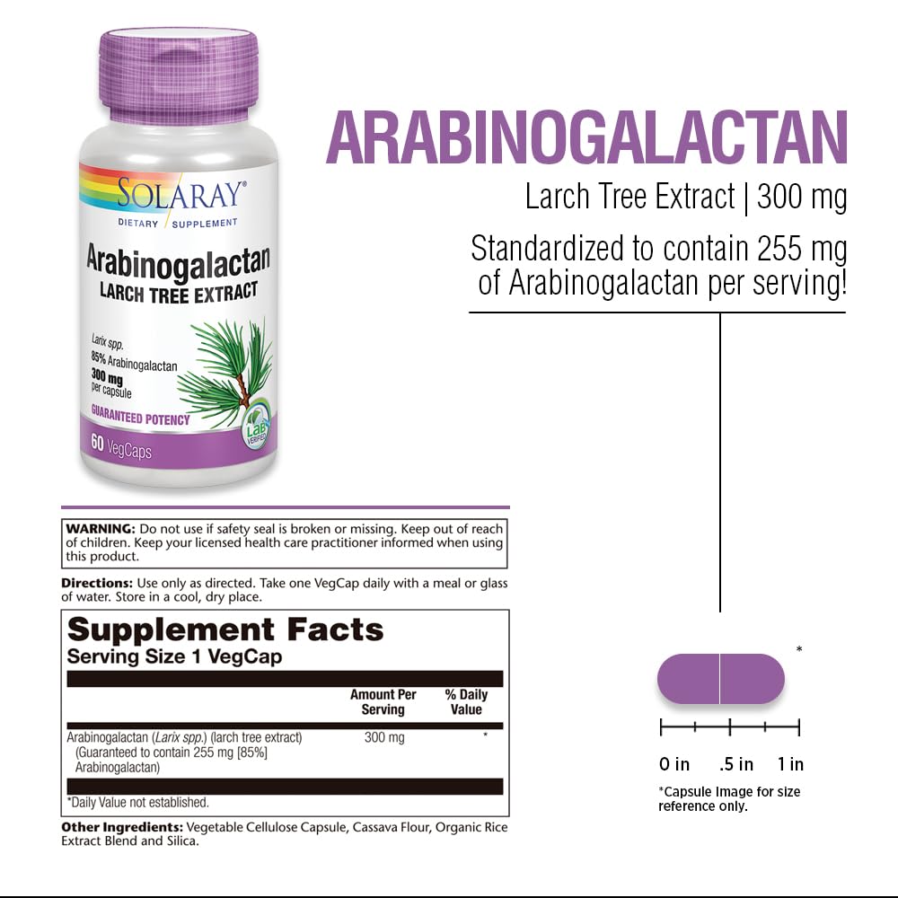 SOLARAY Arabinogalactan 300mg | Larch Tree Prebiotic Fiber | 60 VegCaps
