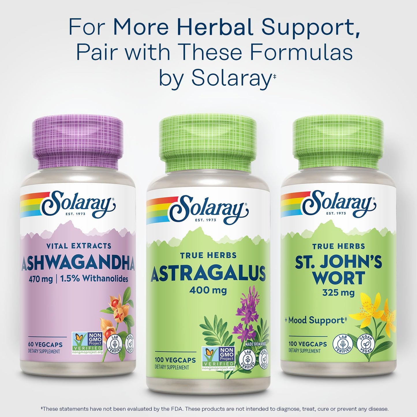 Solaray Astragalus Root 400mg – 100 Servings, Vegan, Non-GMO | Traditional Herbal Support