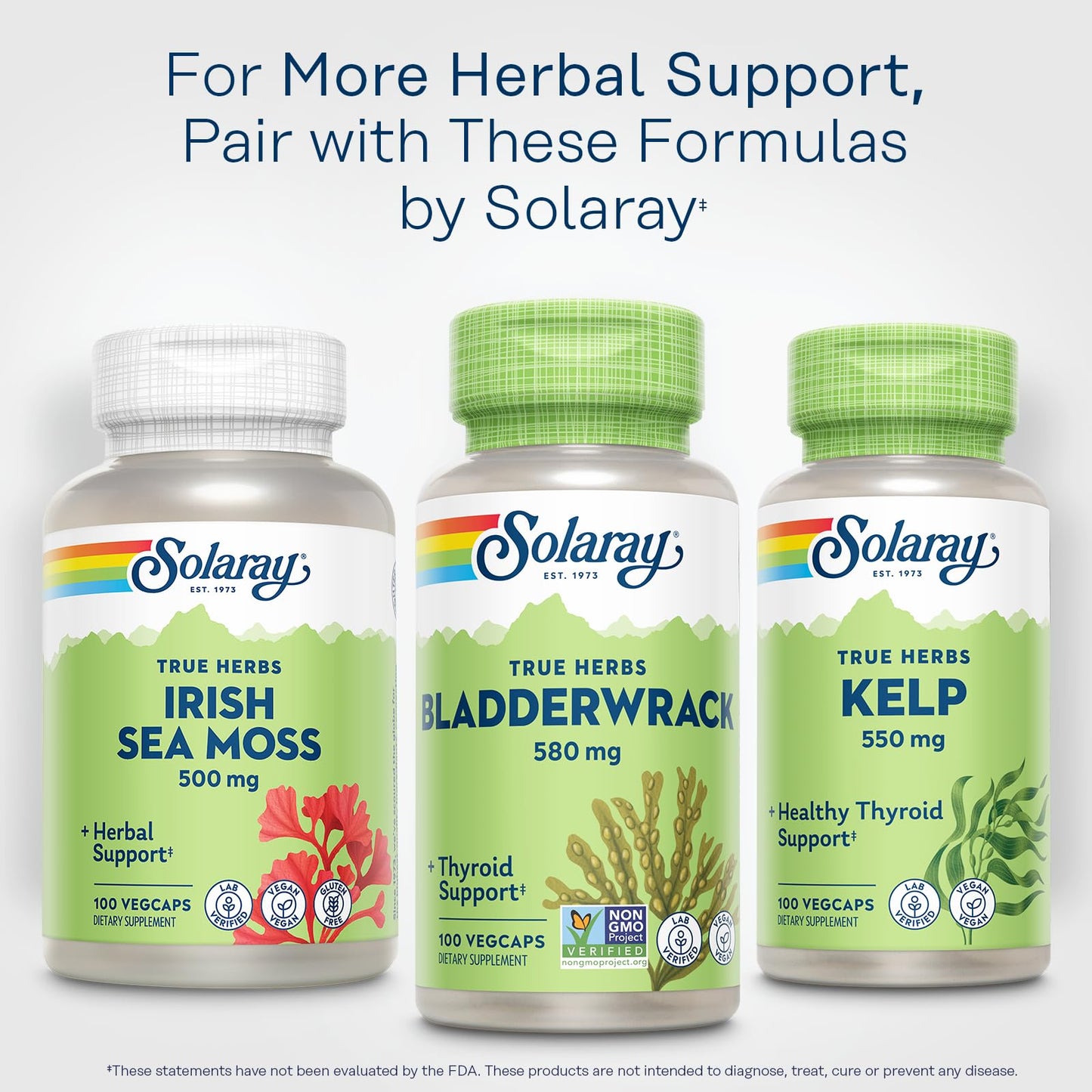 SOLARAY Bladderwrack Capsules 580 mg | Vegan Seaweed Supplement & High Iodine