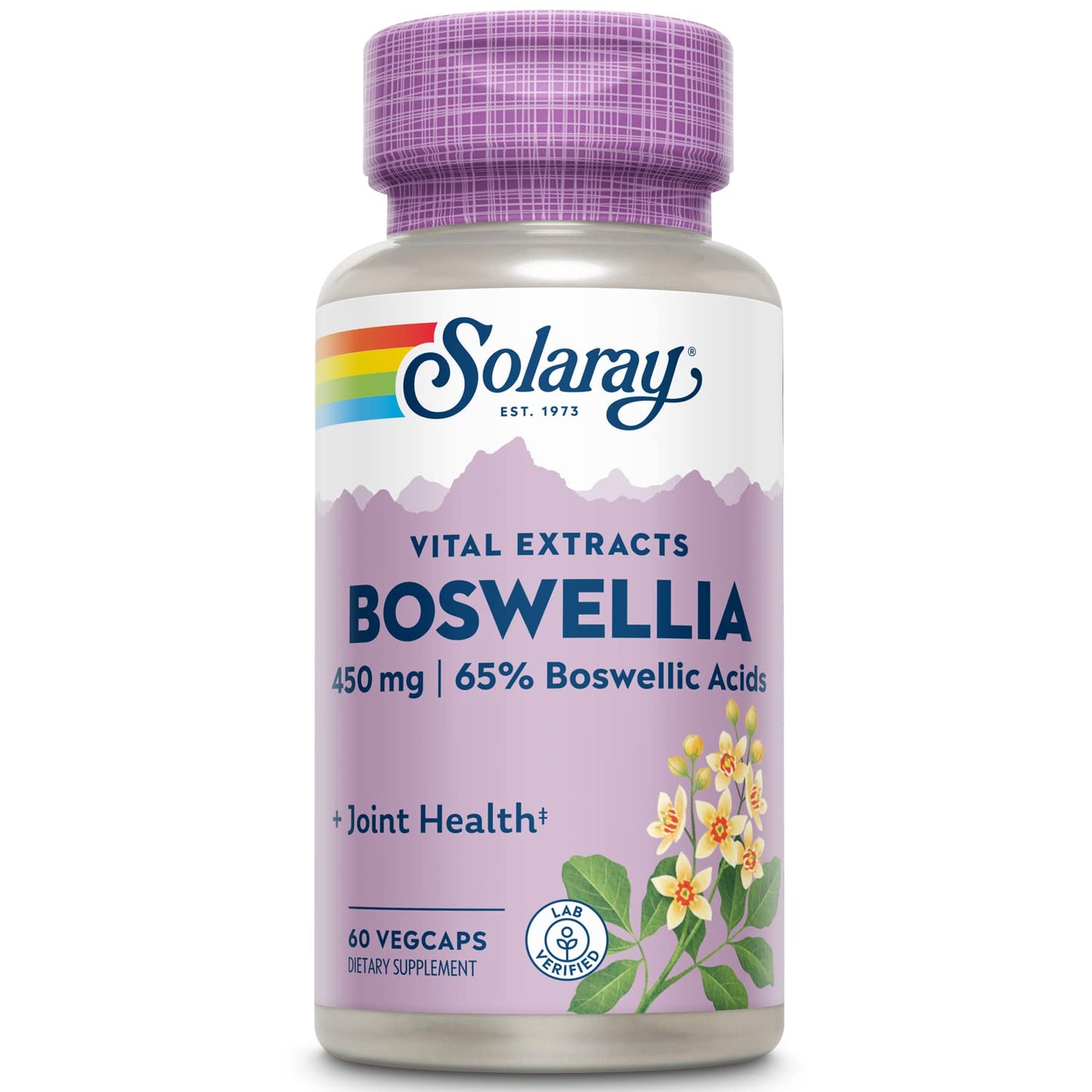 Solaray Boswellia Resin Extract 450 mg VCapsules (60 Count) – Guaranteed Potency for Joint Health
