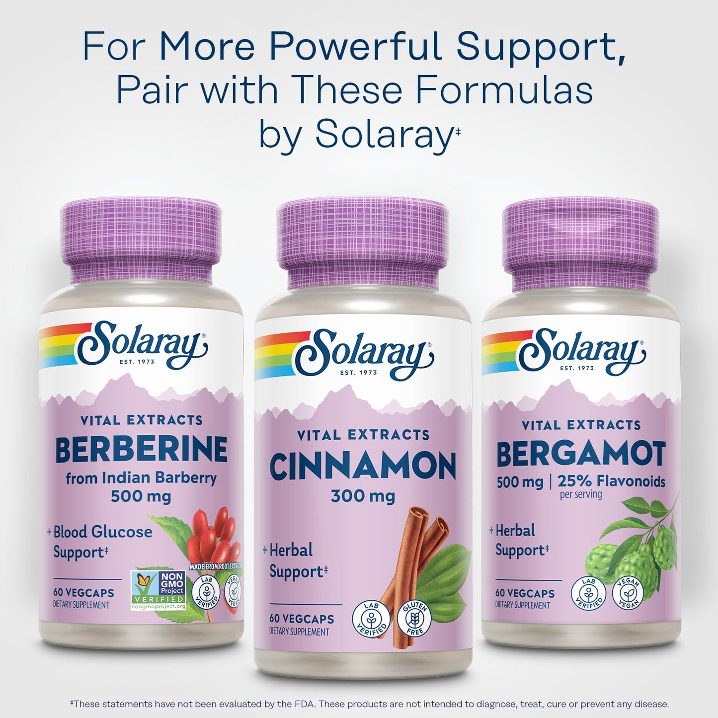SOLARAY Cinnamon Extract 300mg - Balance & Herbal Support | 60 VegCaps
