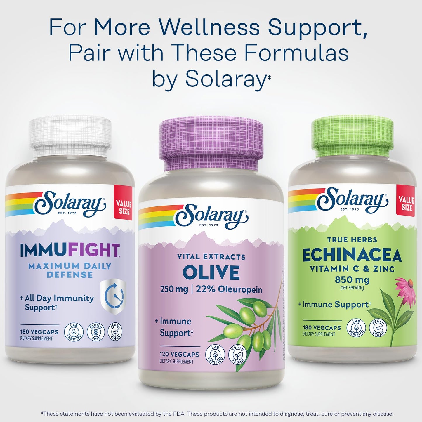 SOLARAY Olive Leaf Extract 250mg Capsules - 22% Oleuropein, Lemon Balm, Vegan, 120 Servings