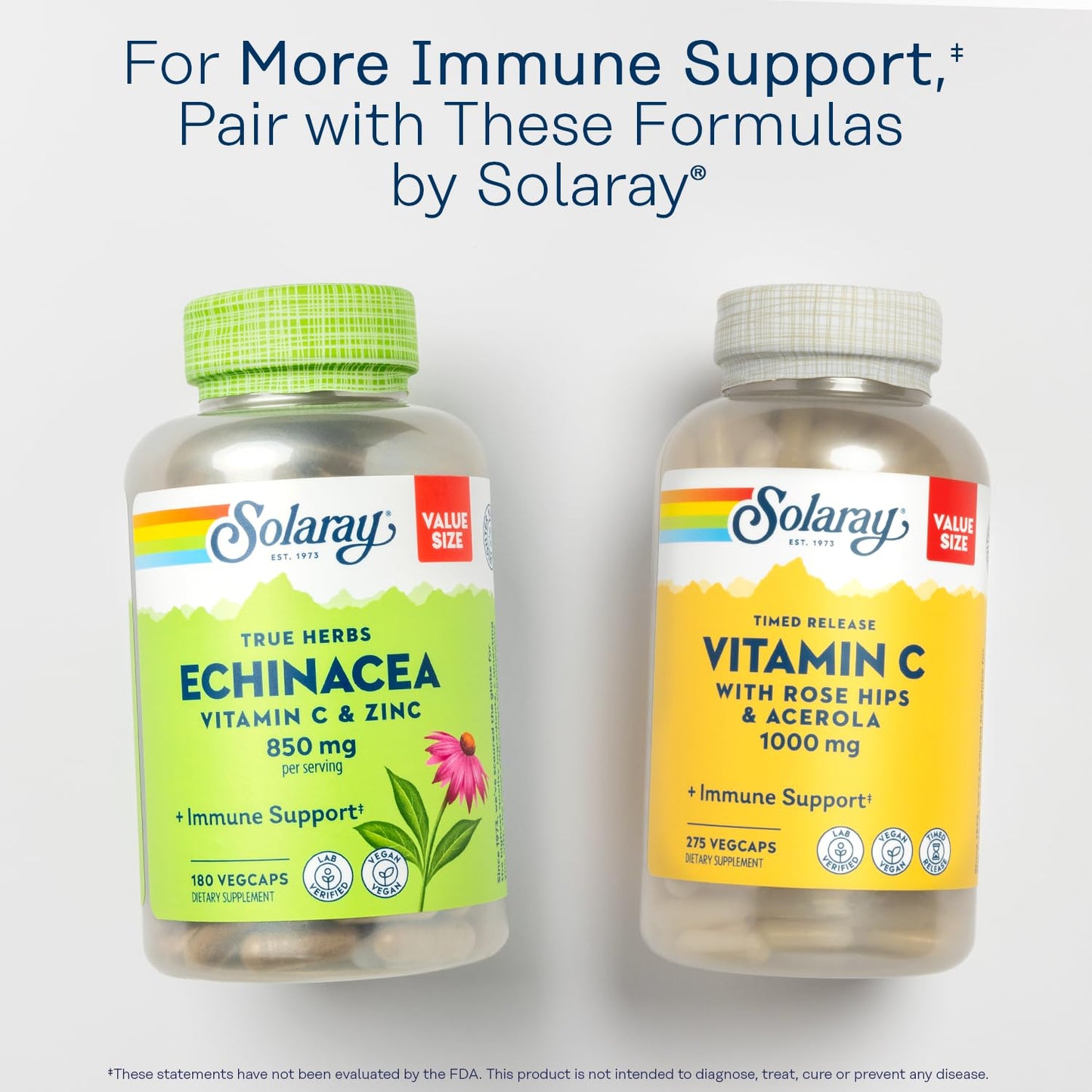 SOLARAY L-Lysine 1000 mg – Free-Form Immune Support with Vitamin C 1000 mg & Zinc 25 mg | 60 Servings, 180 Tablets