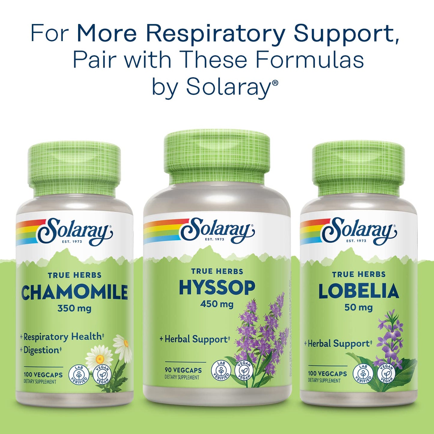 SOLARAY Mullein Leaf 330mg – Respiratory Support, Vegan, 100 Servings (Pack of 2) BritishVita | Premium UK Vitamins & Wellness Supplements