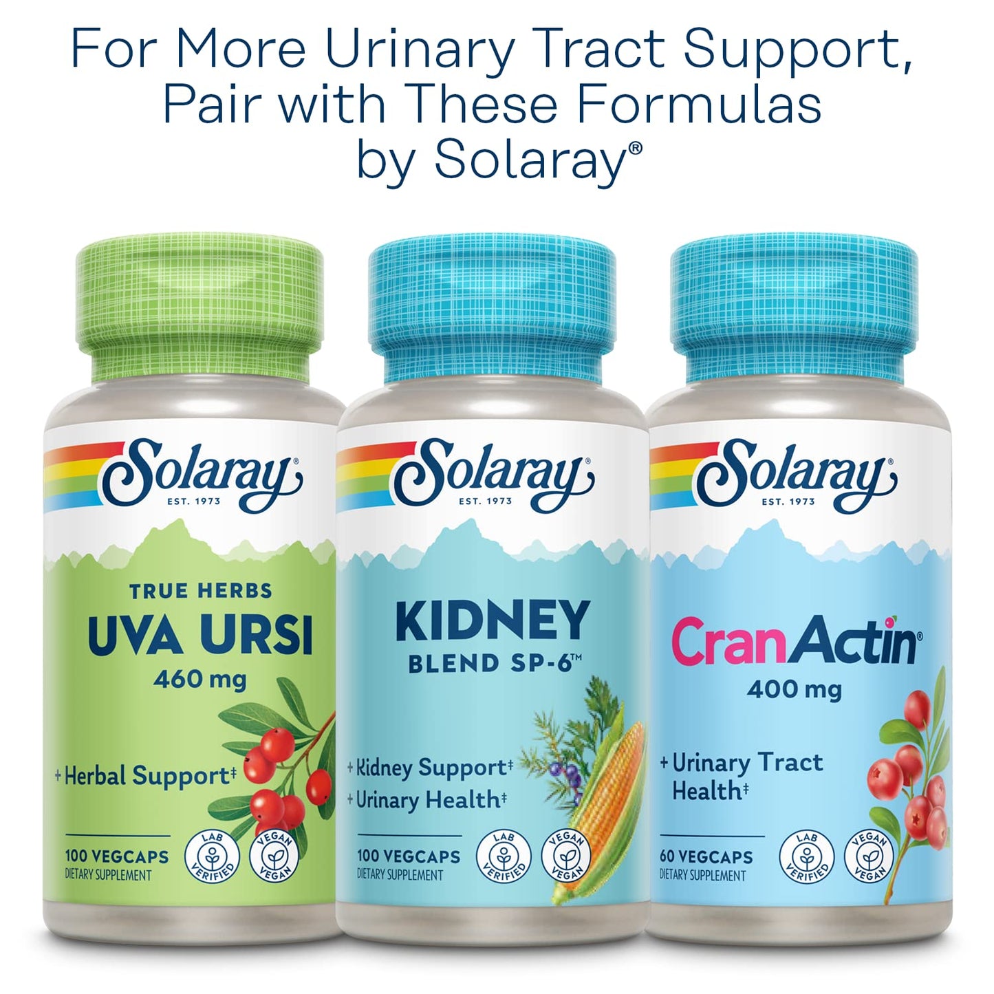 SOLARAY Nettle Leaf 450mg – Kidney, Urinary & Prostate Support | Respiratory Wellness (180 CT)