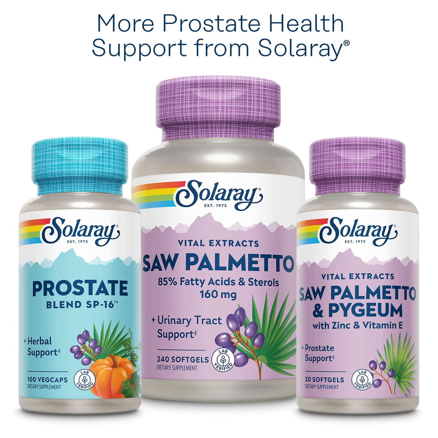 SOLARAY Pygeum Bark Extract 50mg – Prostate Health Support