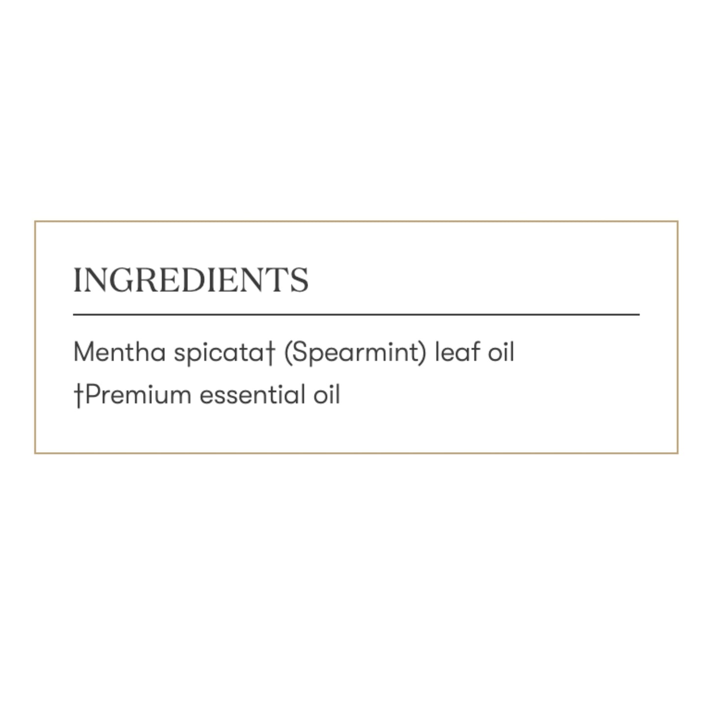 Spearmint Essential Oil 5ml by Young Living | Aromatic Comfort, Digestive and Wellness Support