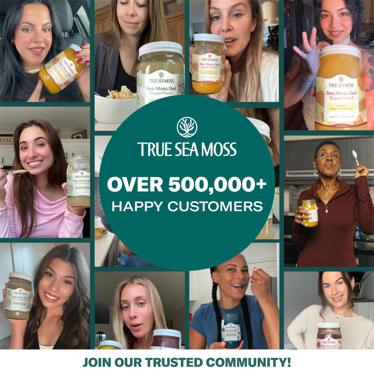 TrueSeaMoss Sea Moss Gel Mango Pineapple – Made in USA, Wildcrafted Seamoss BritishVita | Premium UK Vitamins & Wellness Supplements