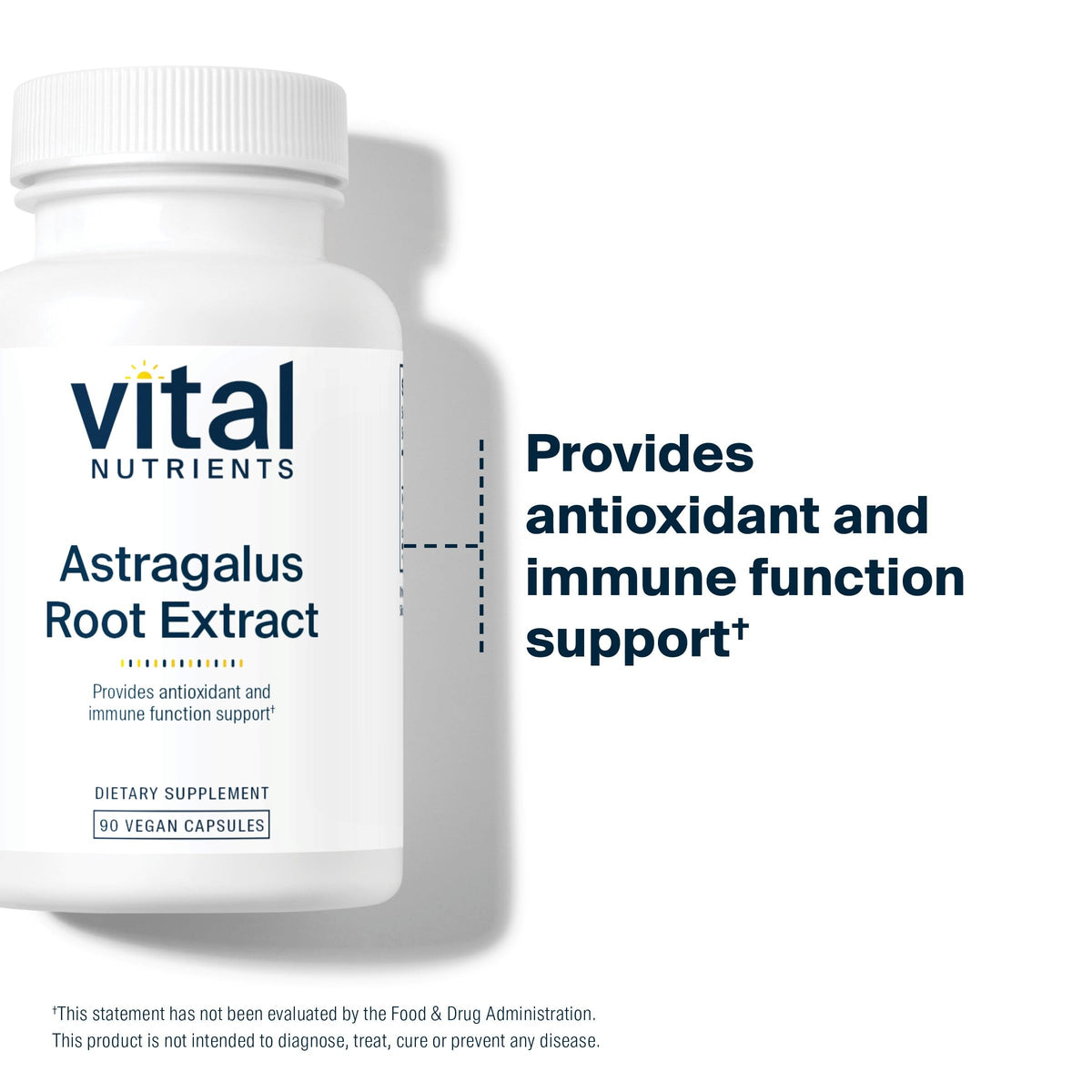 Vital Nutrients Astragalus Root Extract – Vegan Immune Support, 300 mg, 90 Veg Caps BritishVita | Premium UK Vitamins & Wellness Supplements
