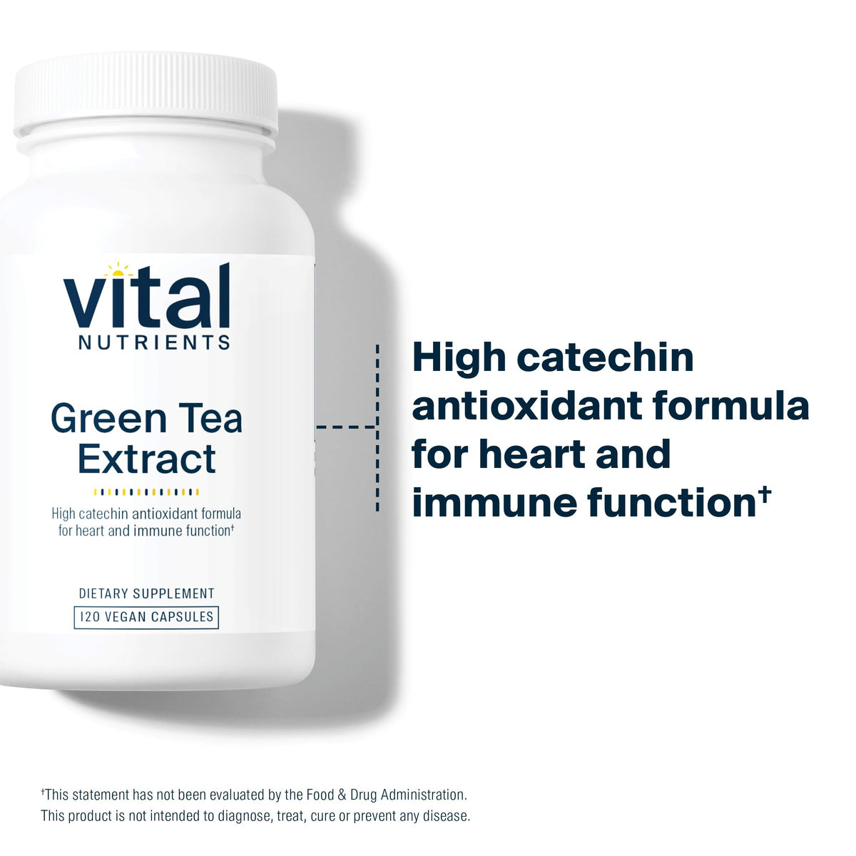 Vital Nutrients Green Tea Extract 550mg – Antioxidant for Heart & Immune Health* BritishVita | Premium UK Vitamins & Wellness Supplements