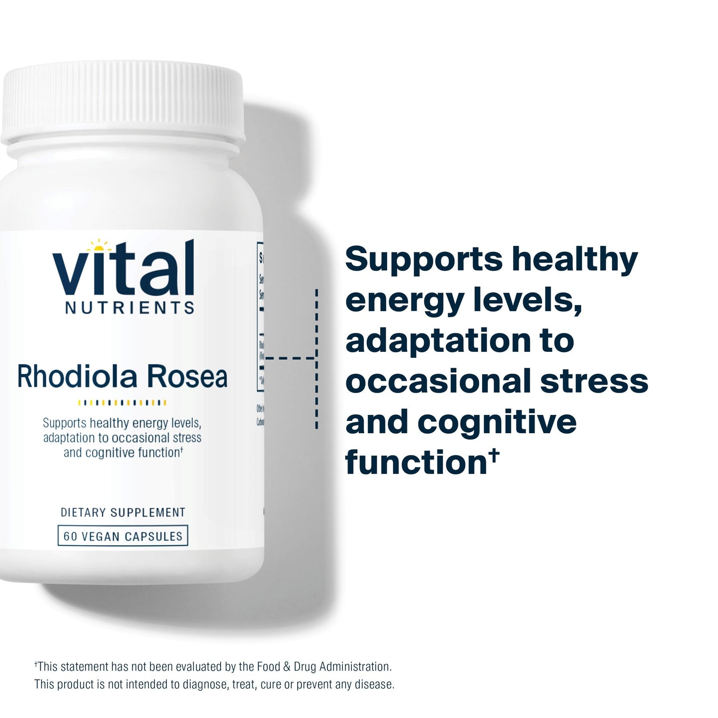 Vital Nutrients Rhodiola Rosea | Energy & Stress Support