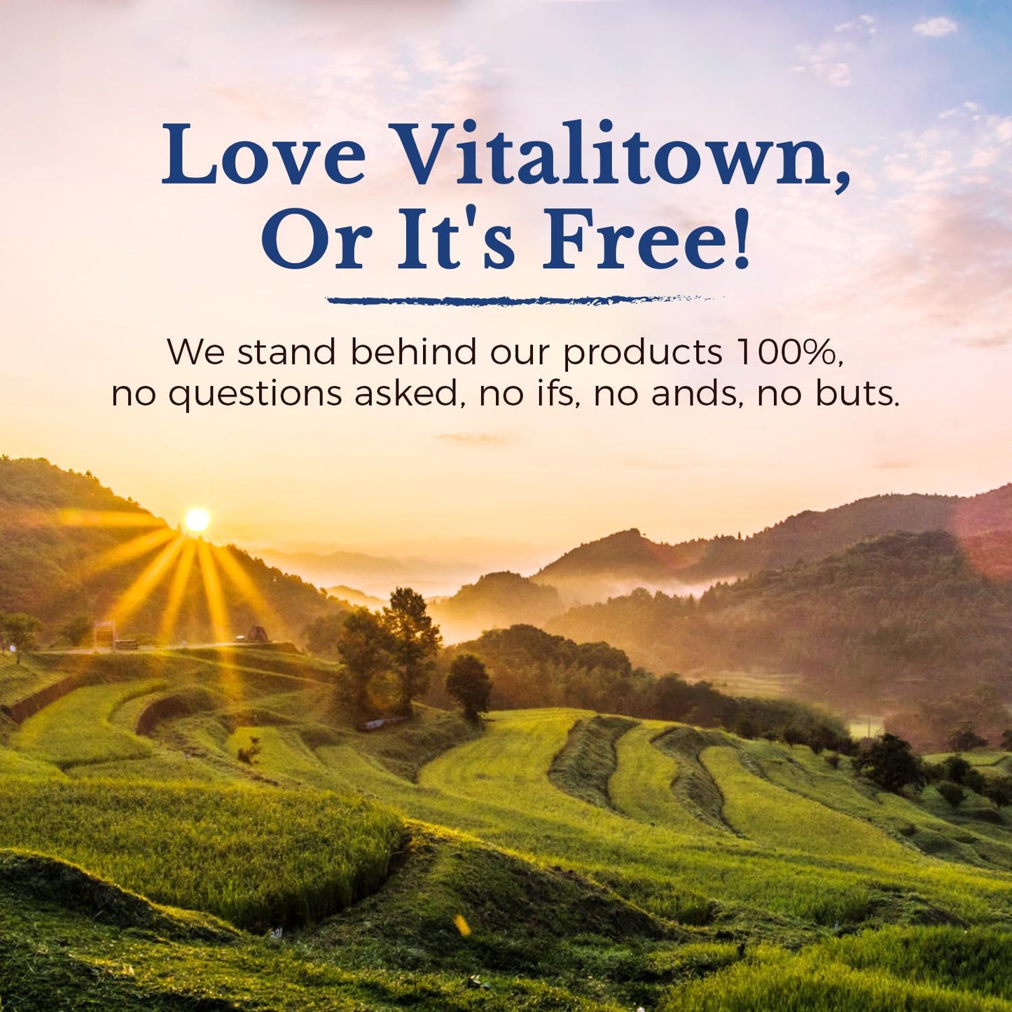 Vitalitown Probiotics 200B CFUs, 36 Strains | Shelf-Stable, 60 ct | Vegan & Non-GMO