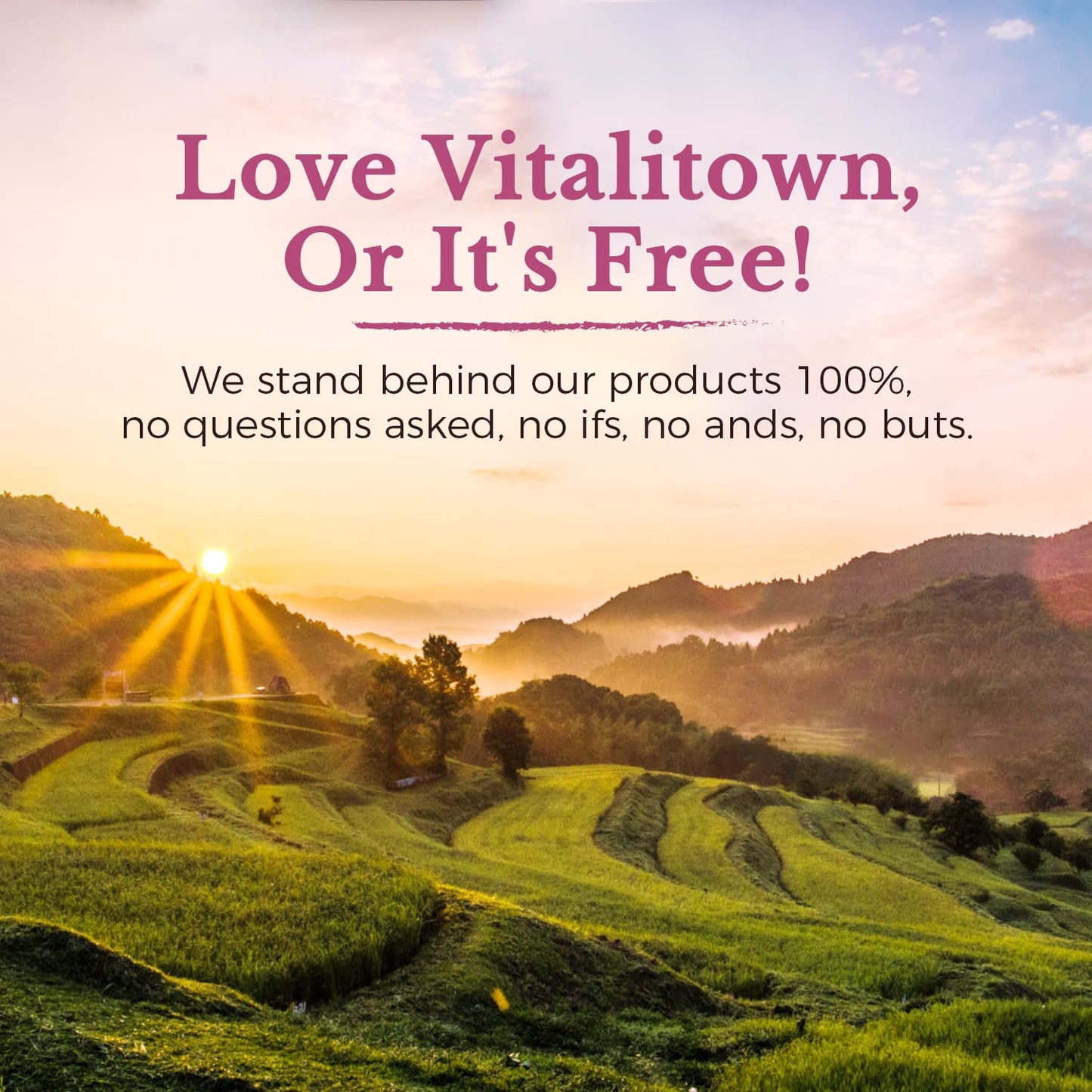 Vitalitown Probiotics for Women – 120 Billion CFUs, 30 Strains, Prebiotics & Enzymes | Vegan