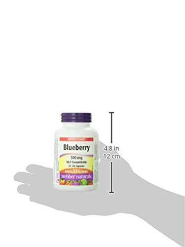 Webber Naturals Blueberry 36:1 Concentrate Capsule 500 mg | 120 Capsules
