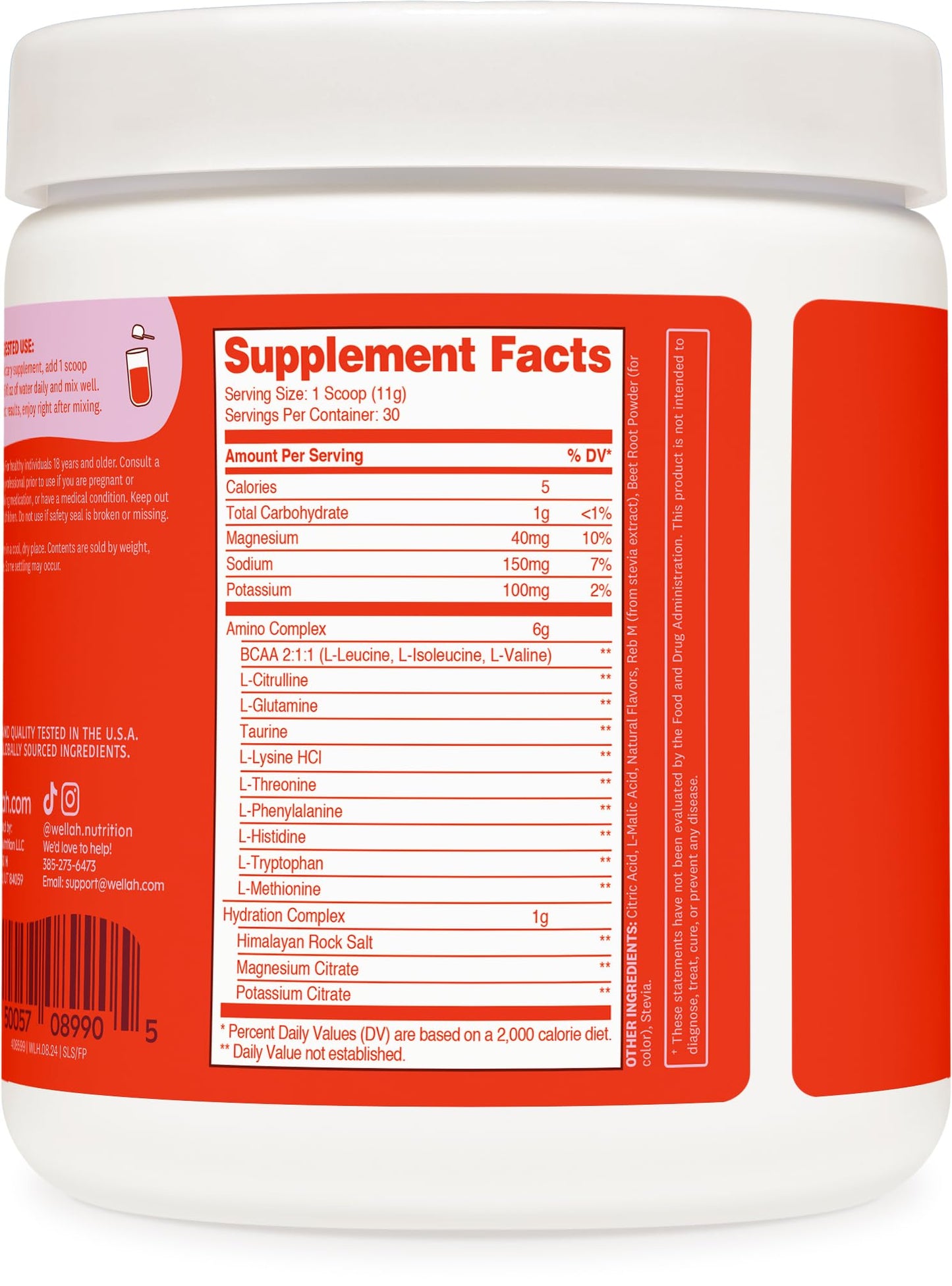 Wellah So Long Soreness BCAA Powder (Fruit Punch Flavored) 30 Servings – with Hydration Complex