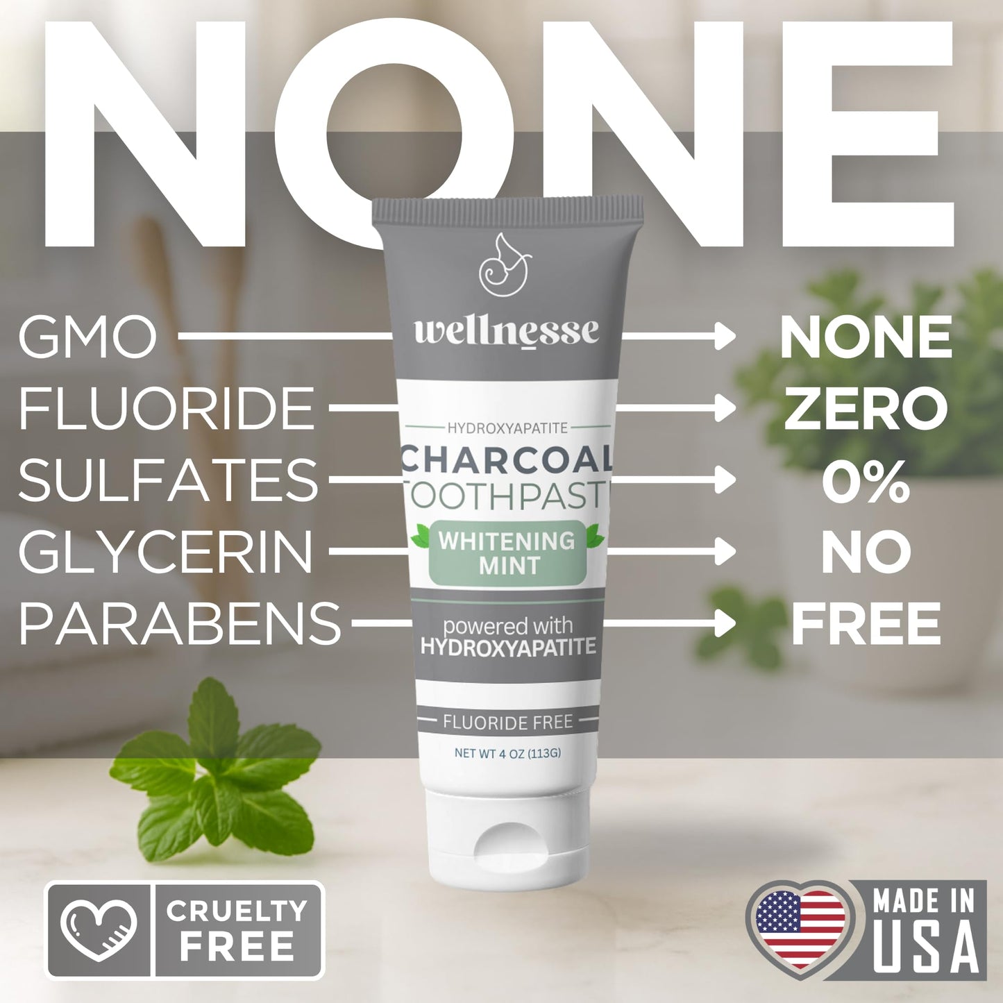 Wellnesse Activated Charcoal Toothpaste with Xylitol – Fluoride-Free, Mint, 4 oz