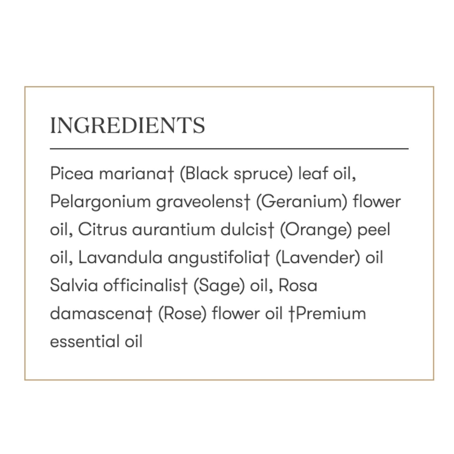 Envision Essential Oils Blend 5 ml by Young Living | Kosher Certified | Seed to Seal