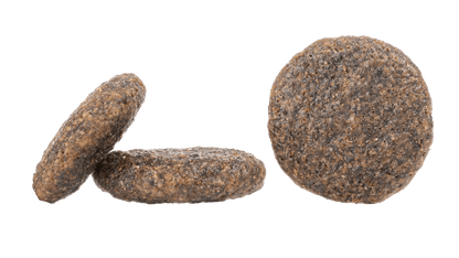 Sea Fish Dry Dog Food (Karibik)
