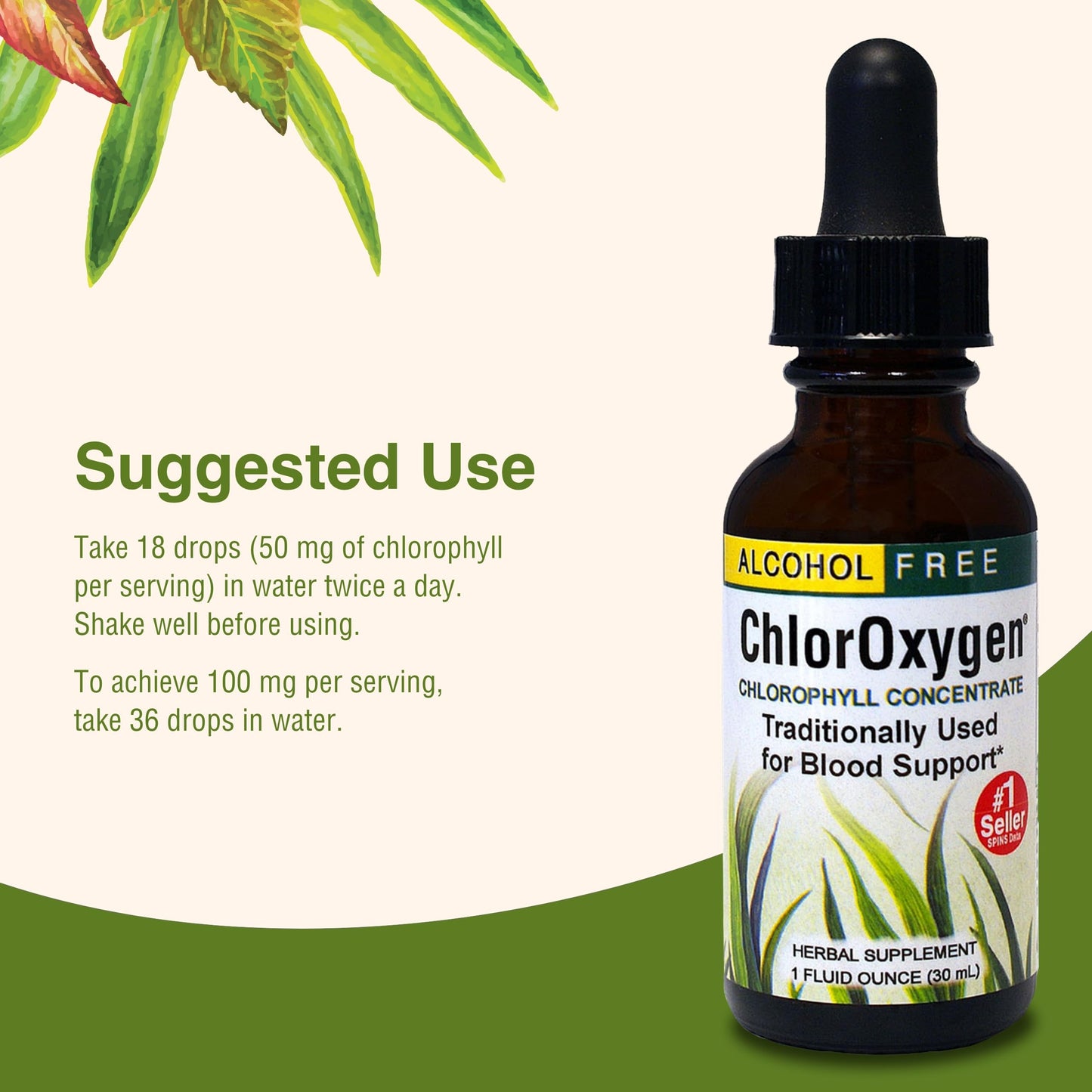 ChlorOxygen Chlorophyll Concentrate by Herbs Etc. – Energy & Blood Health (1 fl oz)