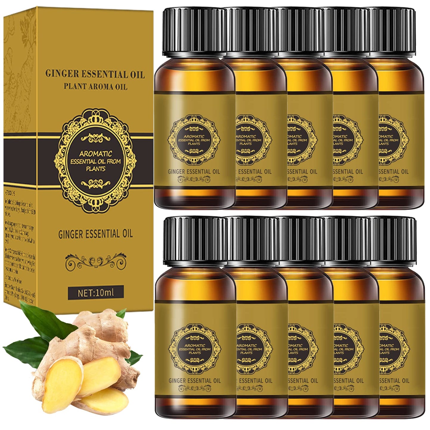10 Pack Ginger Oil for Lymphatic Drainage – Natural Ginger Massage Oil