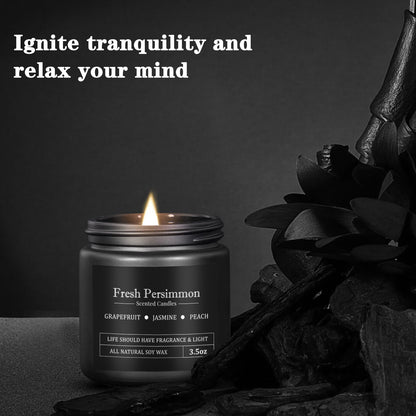 10 Pack Scented Candles for Men – Masculine Gift Set | Aromatherapy, Soy Wax, Cotton Wick