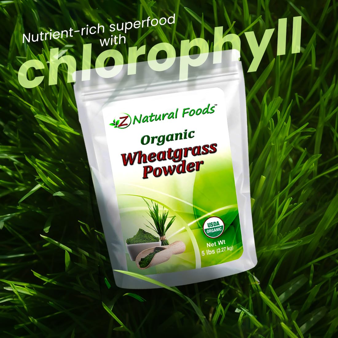 Organic Wheatgrass Powder - Bulk 5 lb - 100% Pure, Raw, Non-GMO, Vegan | Green Superfood