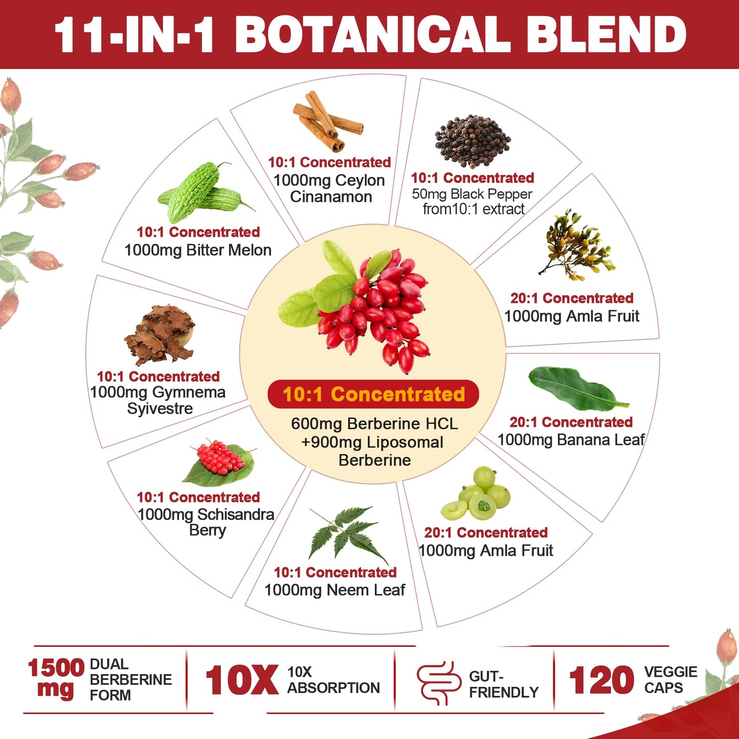 Berberine Supplement Organic 1500mg – Liposomal HCL Complex with Cinnamon & Bitter Melon (120 Caps)