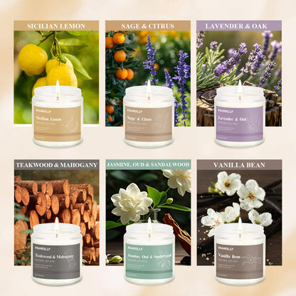 12 Pack Natural Soy Candles Gift Set – Aromatherapy Home Scents (Lavender, Vanilla, Rose & Eucalyptus)