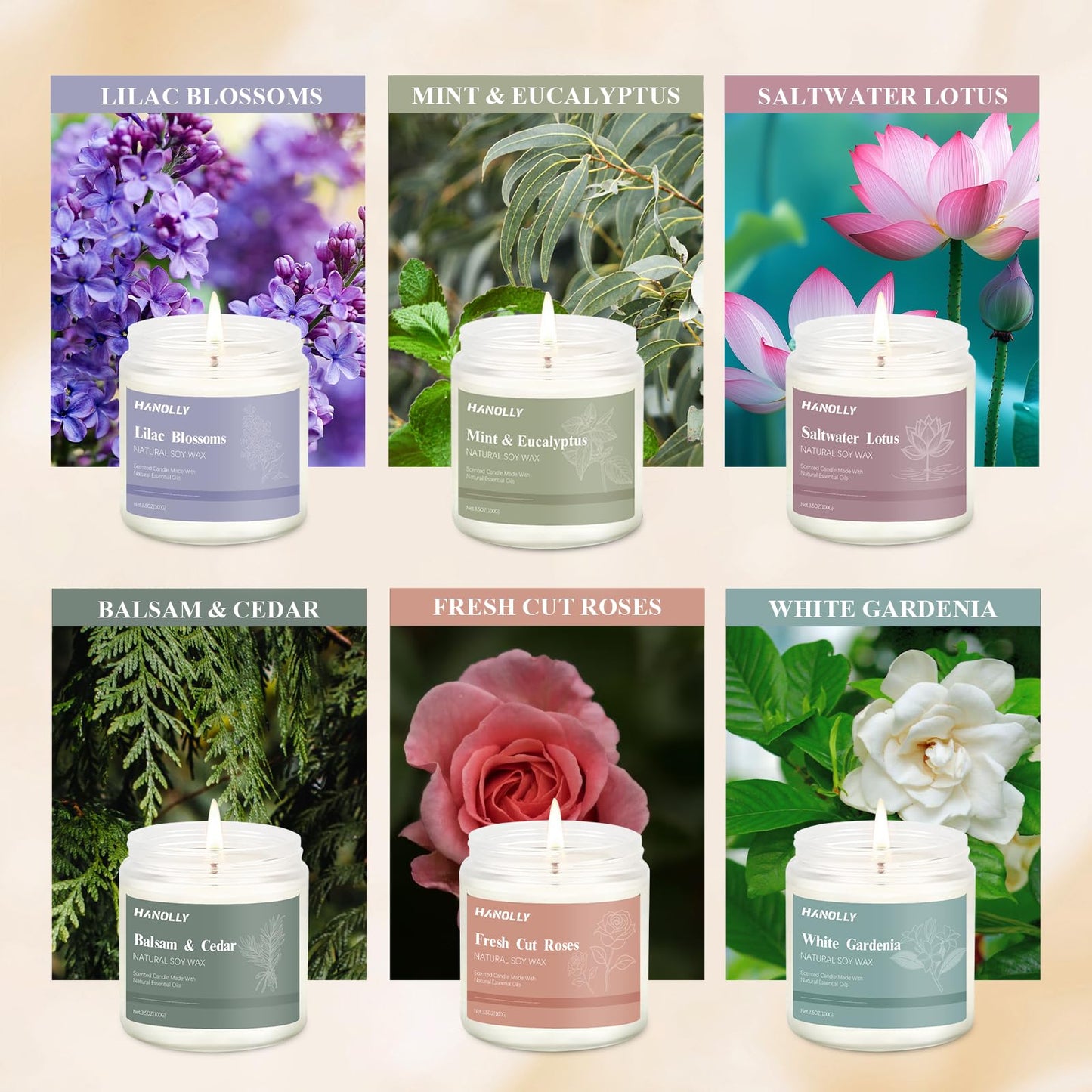 12 Pack Natural Soy Candles Gift Set – Aromatherapy Home Scents (Lavender, Vanilla, Rose & Eucalyptus)