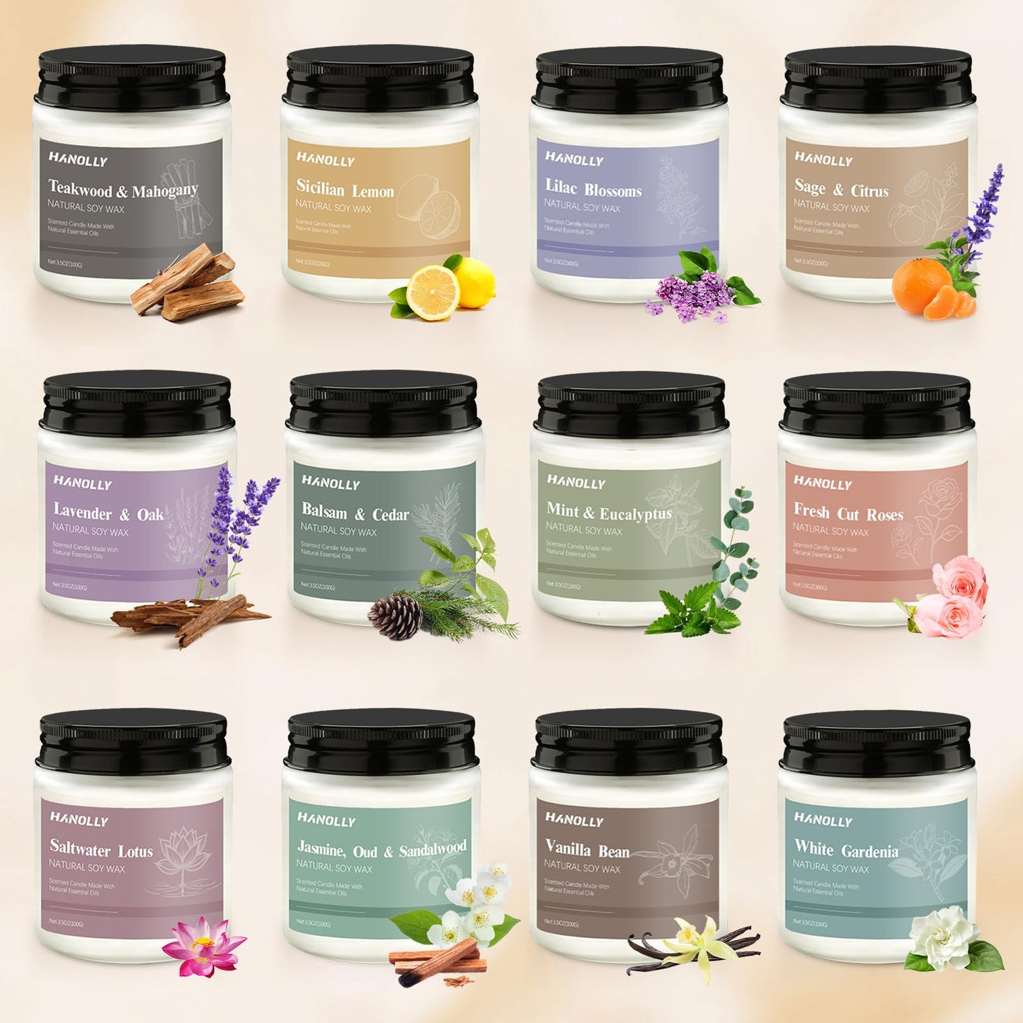12 Pack Natural Soy Candles Gift Set – Aromatherapy Home Scents (Lavender, Vanilla, Rose & Eucalyptus)