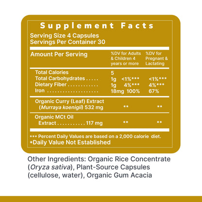 Phyto-Iron Premier Plant-Based Iron — 18 mg, 120 Capsules