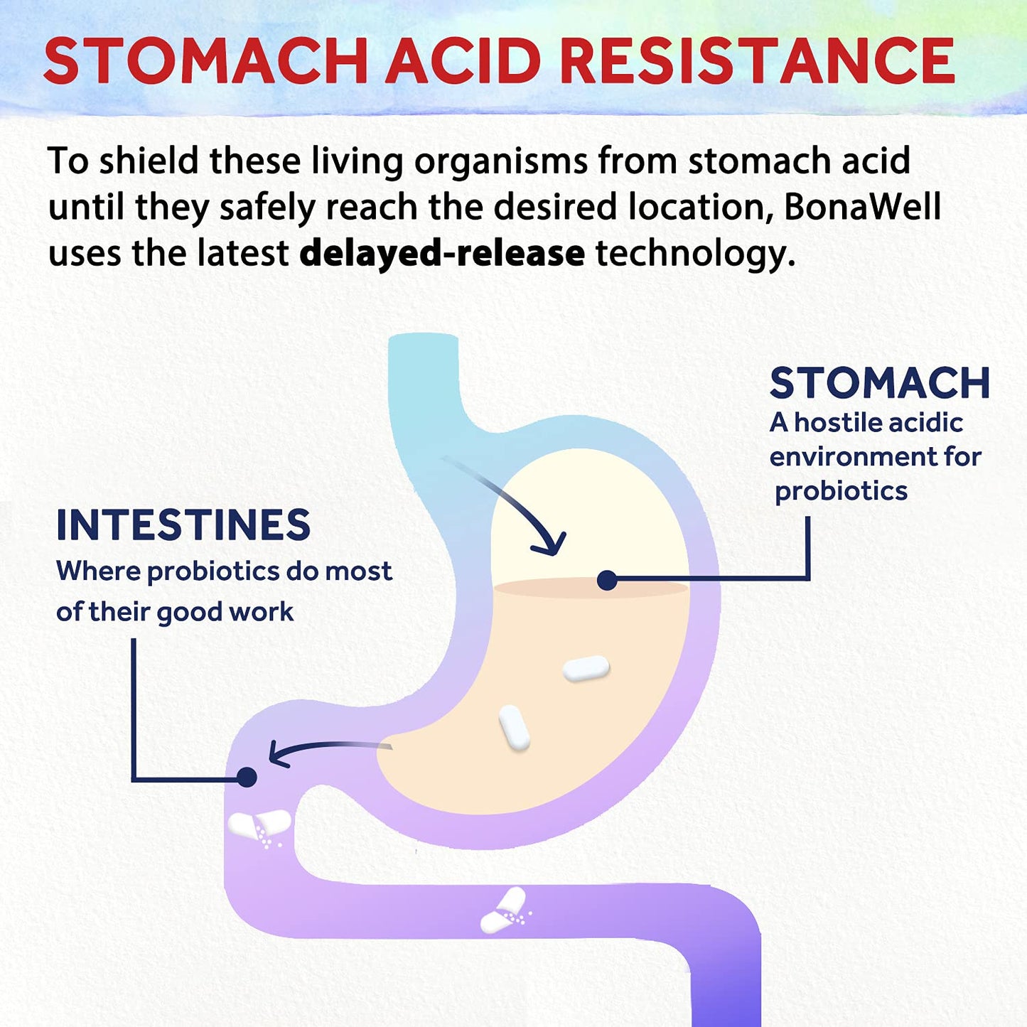 Bonawell Probiotics 120B CFU - 32 Strains with Prebiotics & Enzymes