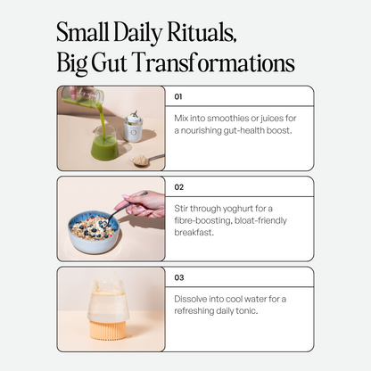 Jerms Daily Gut