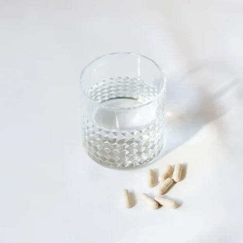 GP Nutrition Fibre
