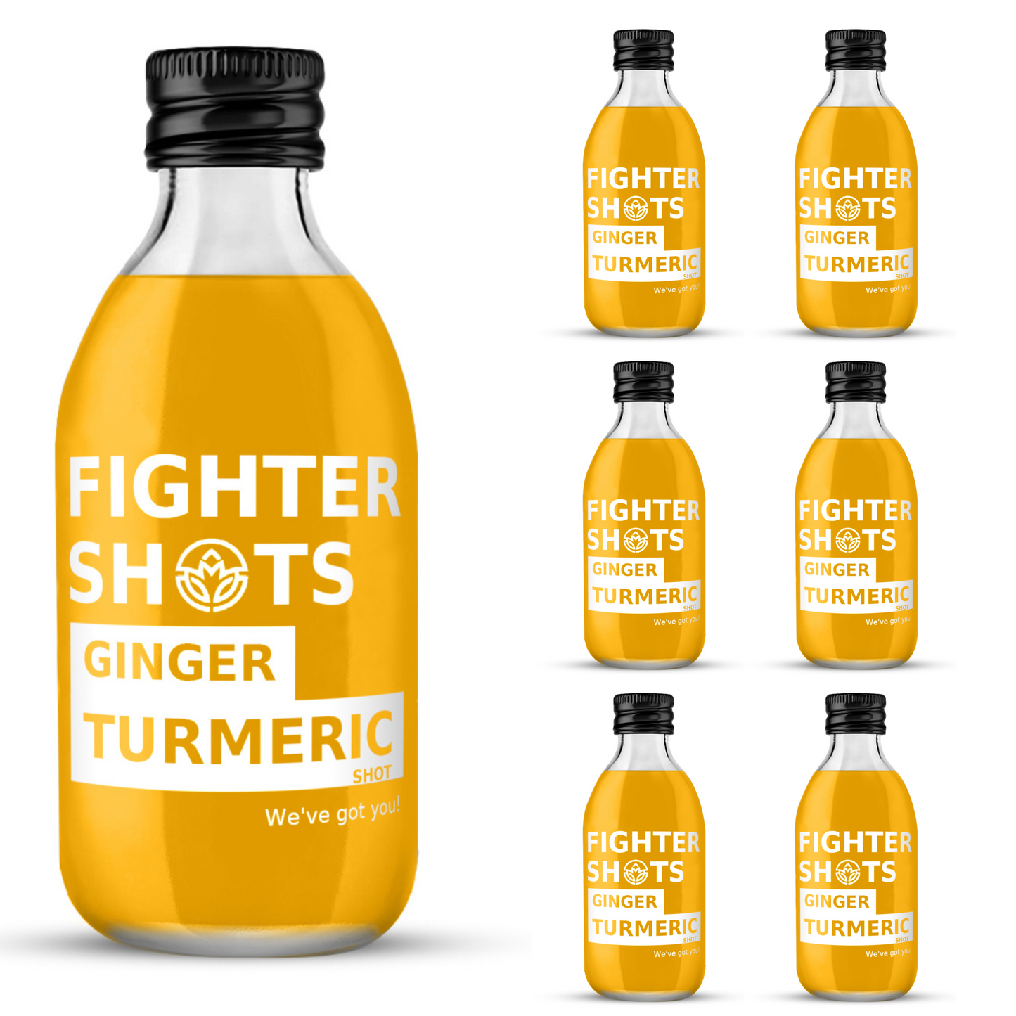 Fighter Shots Organic Ginger + Turmeric Dosing Bottle | 250ml | 150mg Curcumin Per Serving