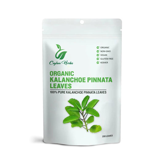 200 Kalanchoe Pinnata Leaves – Dried Organic, 100% Pure & Natural BritishVita | Premium UK Vitamins & Wellness Supplements